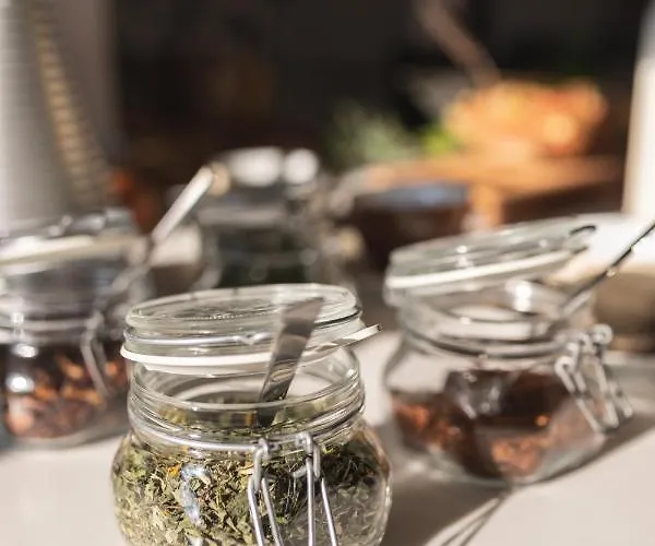 度假居 Winzervilla *